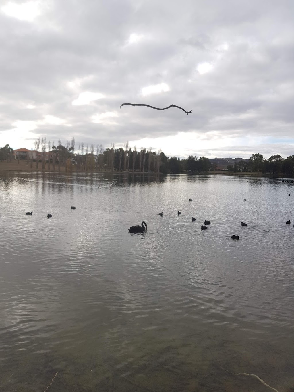 Yerrabi Pond | Yerrabi Pond,, Canberra ACT 2912, Australia | Phone: 13 22 81