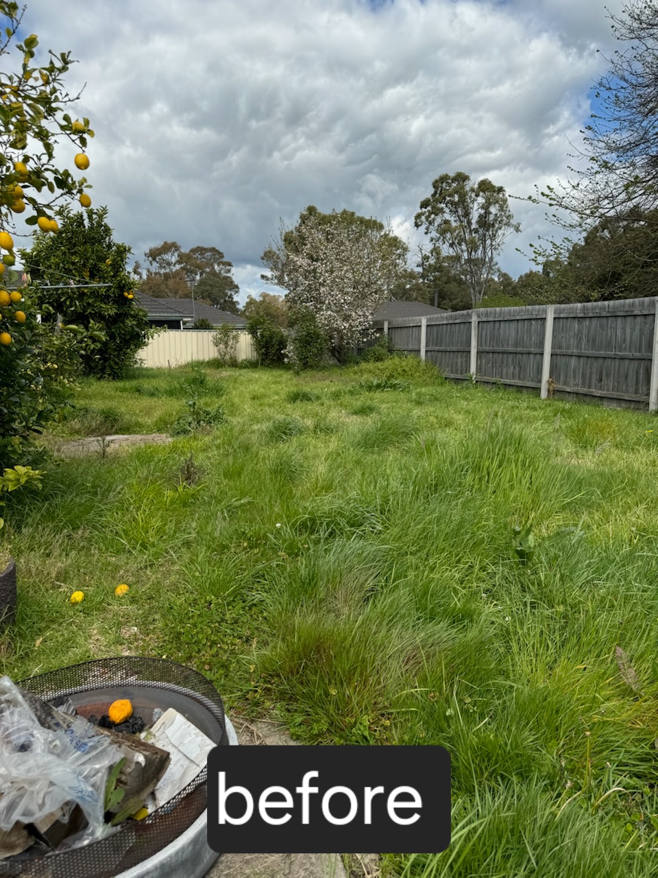 Moores finest cuts | Street, Glengarry VIC 3854, Australia | Phone: 0400 952 550
