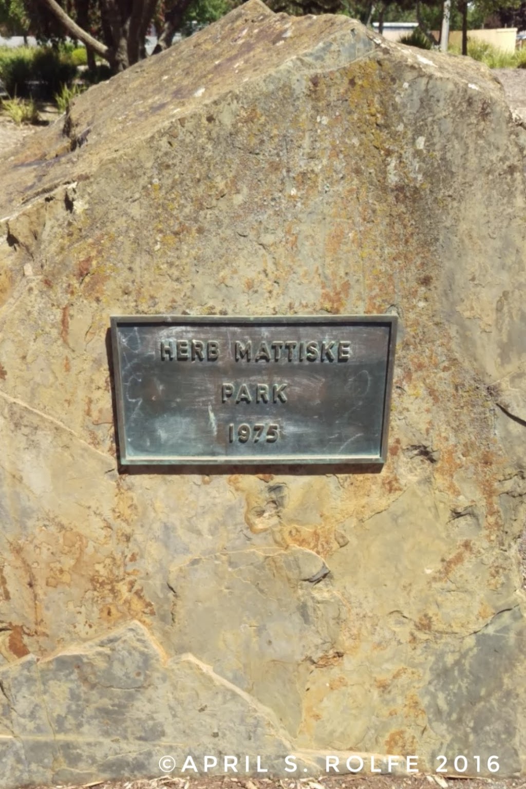 Mattiske Park | 4 Peake St, Freeling SA 5372, Australia | Phone: (08) 8525 3200