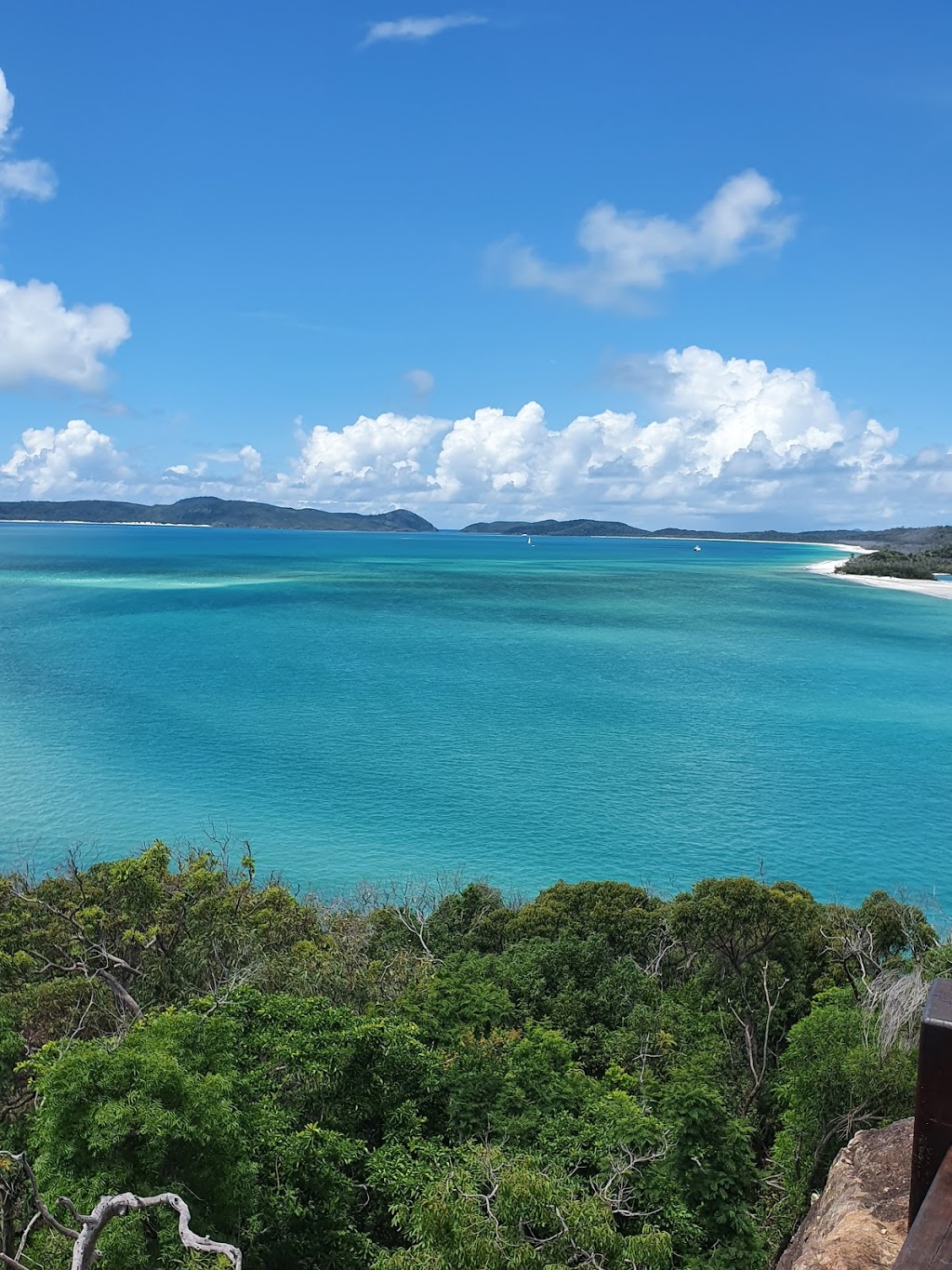 Whitsunday Coast Barramundi | 215 Dunrock Rd, Chelona QLD 4740, Australia | Phone: (07) 4959 5122