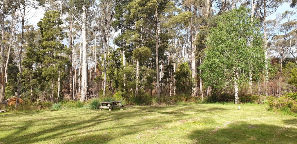 Sykes Sanctuary | park | 93 Sunnyside Rd, Railton TAS 7305, Australia