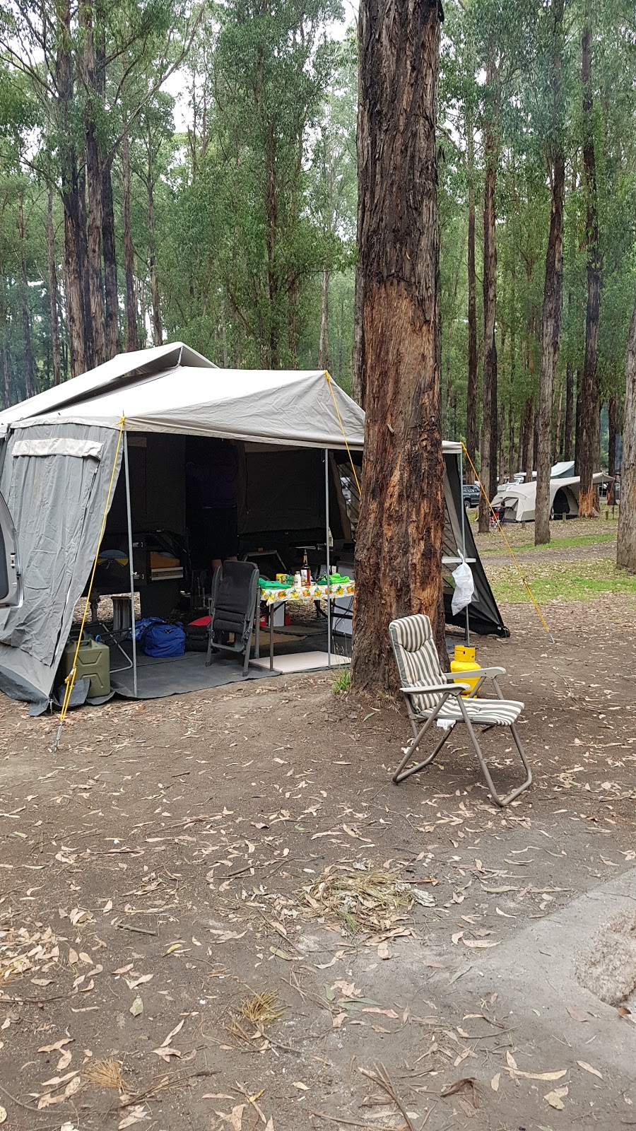 Dandos Camping Spot | campground | Sayers Track, Gellibrand VIC 3239, Australia