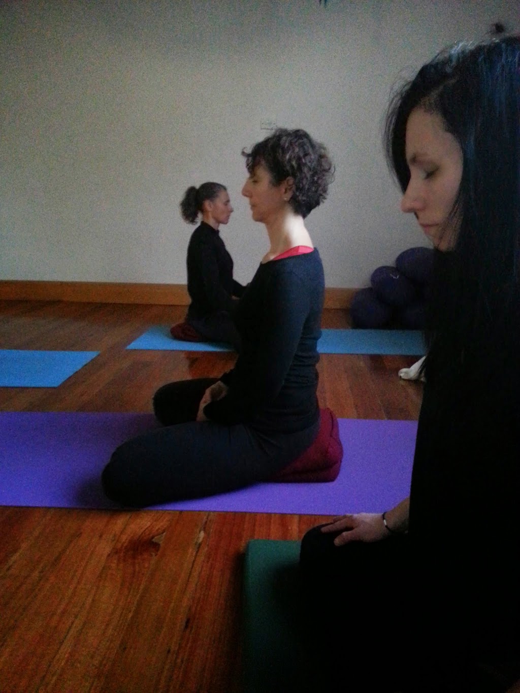 Bodhi Yoga Centre | gym | 5 Mons Shool Road, Buderim QLD 4558, Australia | 0419139570 OR +61 419 139 570