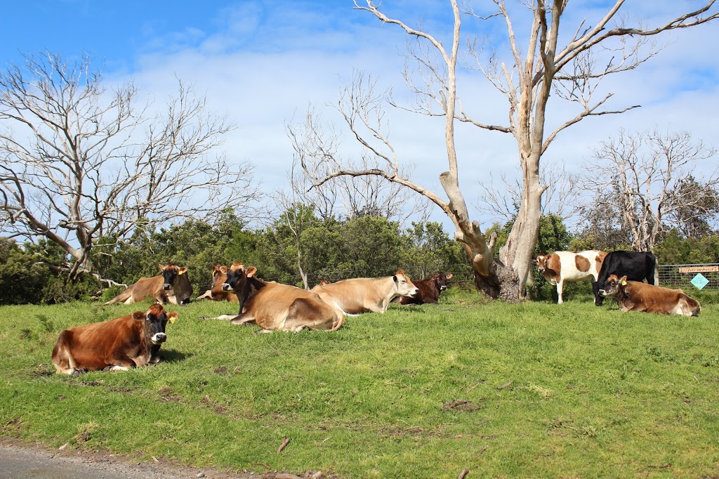 Sea Eagle Retreat | 55 Bracks Access, Cape Otway VIC 3233, Australia | Phone: 0419 540 365