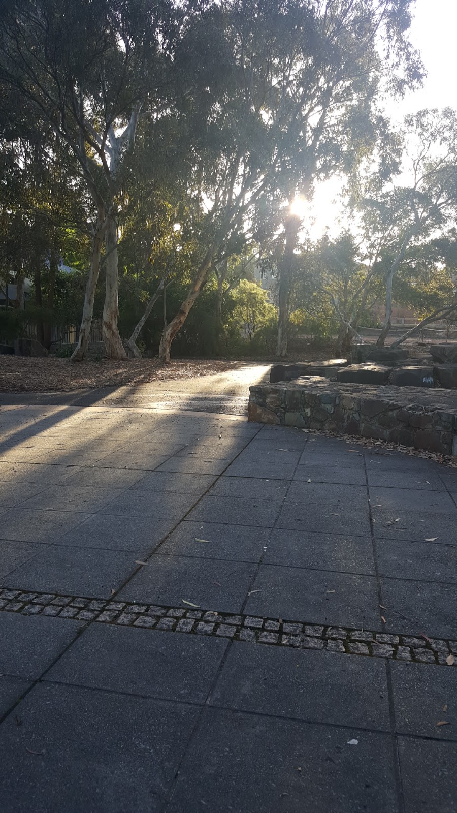 Linear Park Skate Spot | park | Outer Circle Linear Park, Balwyn VIC 3103, Australia