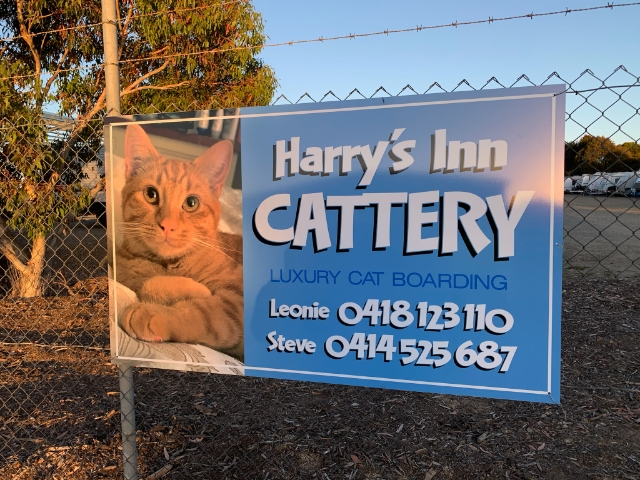 Harrys Inn Cattery |  | 60-64 Hill St, Port Elliot SA 5212, Australia | 0418123110 OR +61 418 123 110