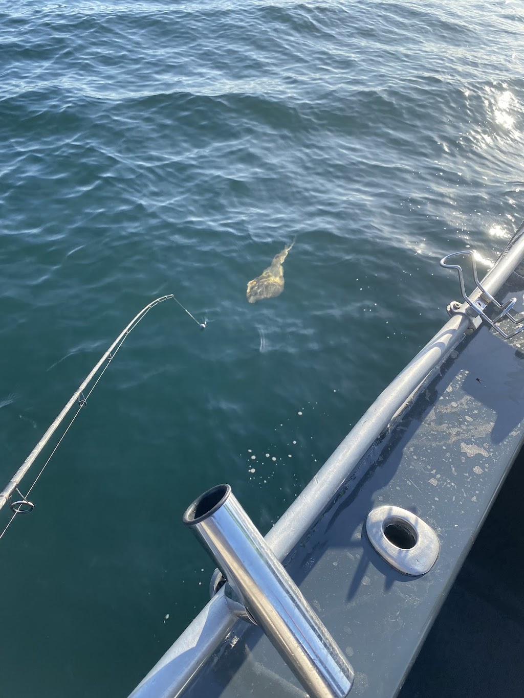 Southern Sydney Fishing Tours | Rocky Point Rd, Sans Souci NSW 2219, Australia | Phone: 0418 169 439