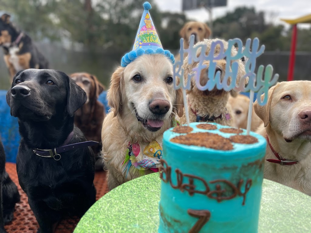 That Dog Place | 580 Bells Rd, Smythes Creek VIC 3351, Australia | Phone: 0407 334 136