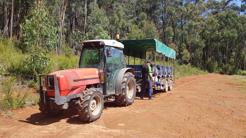 Sanders Apples (U-Pick and Tours) | 1020 Yarra Junction-Noojee Rd, Three Bridges VIC 3797, Australia | Phone: 0430 589 310