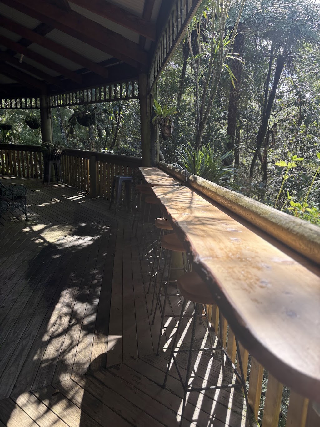 Gallery369 | 369 Lyrebird Ridge Rd, Springbrook QLD 4213, Australia | Phone: 0438 335 164