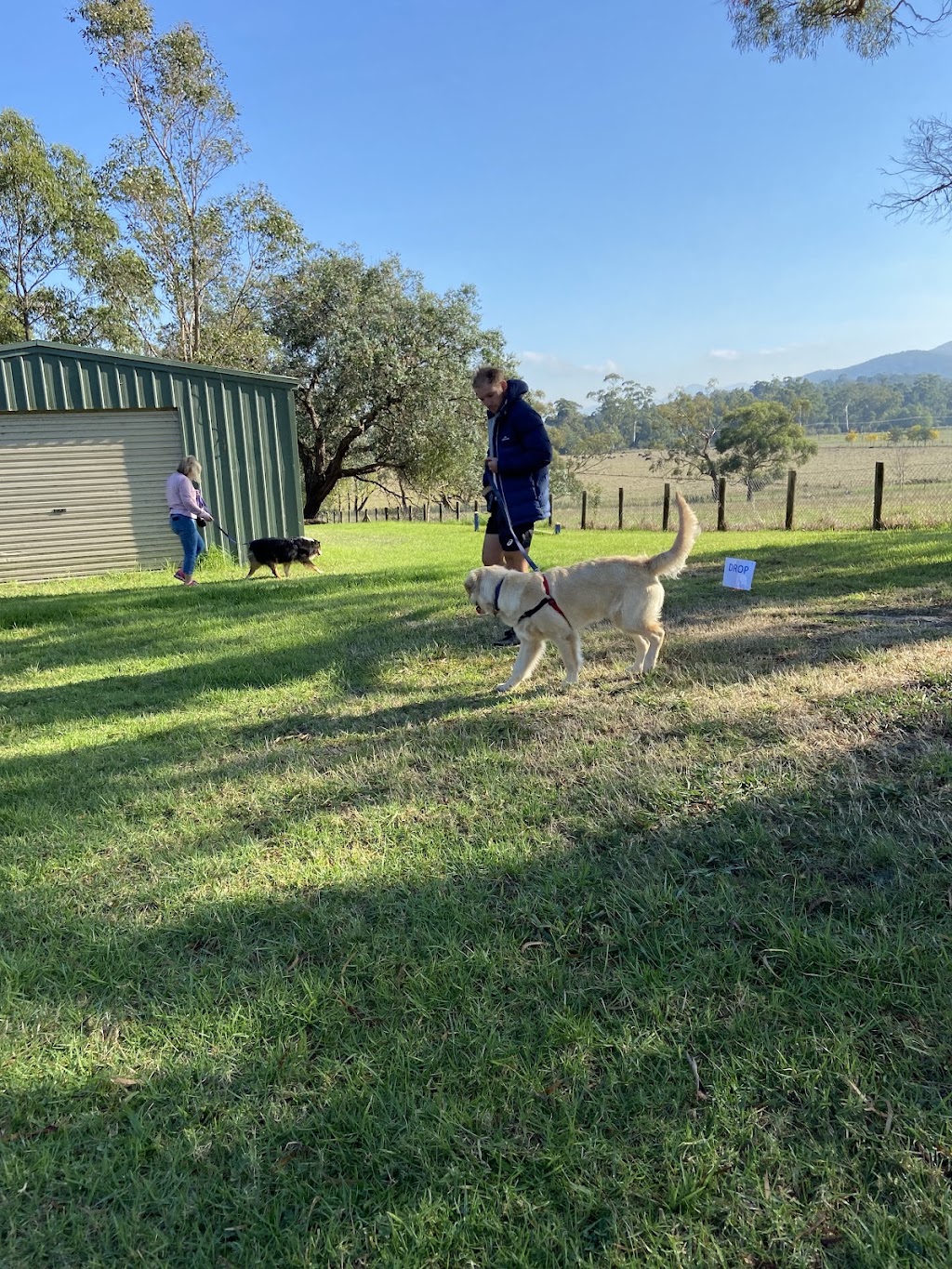 Perfect Paws Behaviour Solutions | Seville Community Hall, 590/602, B380, Warburton Hwy, Seville VIC 3139, Australia | Phone: 0479 151 920