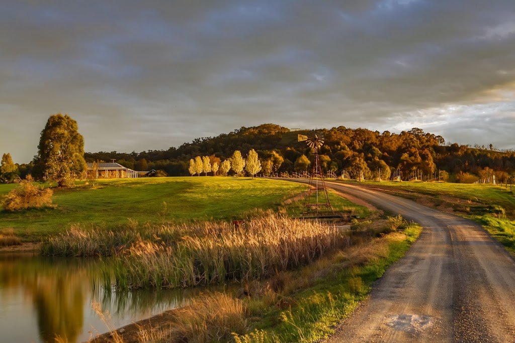 Baarmutha wines | 1184 Diffey Rd, Beechworth VIC 3747, Australia | Phone: 0458 850 252