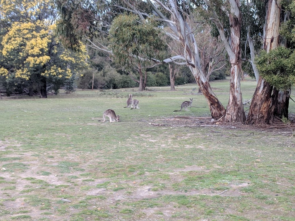 Treetops Scout Camp | 140 Royal Parade, Riddells Creek VIC 3431, Australia | Phone: (03) 5428 6756