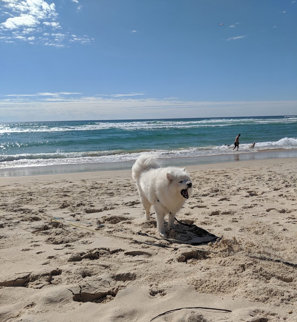 Palm Beach Dog off-leash beach | park | Palm Beach QLD 4221, Australia