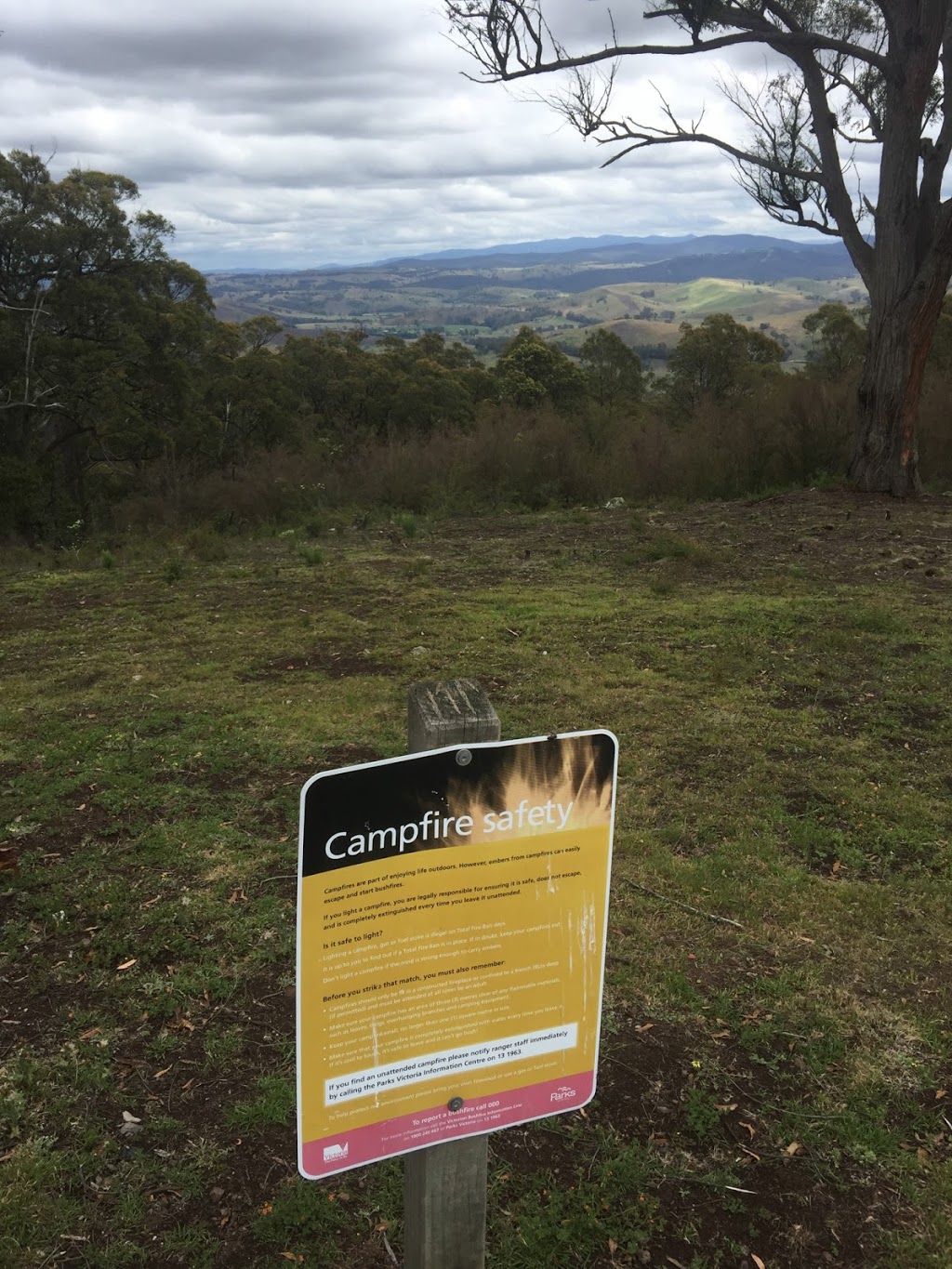 One Tree Hill Lookout |  | Balley Hooley Rd, Buchan VIC 3885, Australia | 131963 OR +61 131963