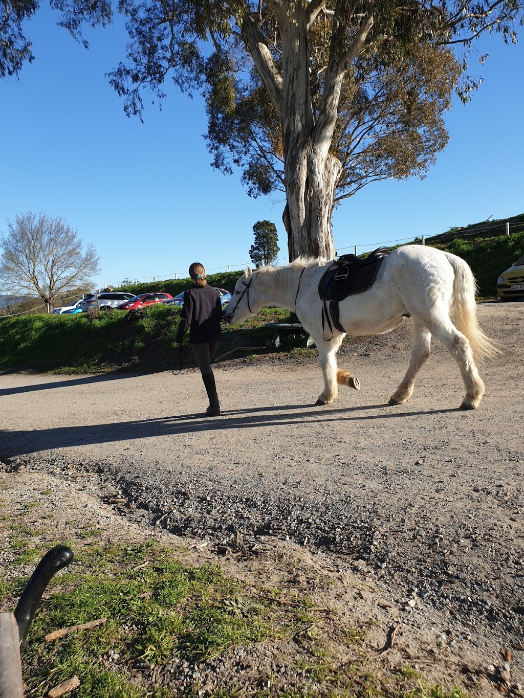 Templewood Horse Riding Centre | 49 Millbrook Rd, Inglewood SA 5133, Australia | Phone: (08) 8389 2388