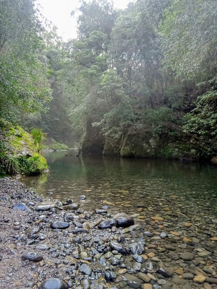 Cedar Lodge, Barrington Tops National Park | Salisbury Rd, Salisbury NSW 2420, Australia