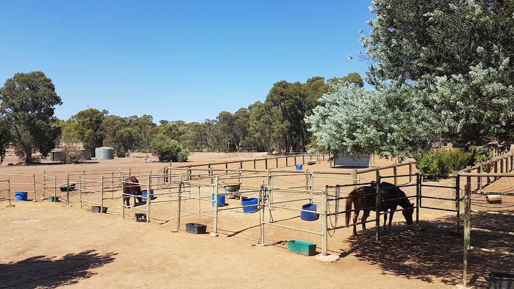 Forge Farm Riding School | 1830 Forge Dr, Chidlow WA 6556, Australia | Phone: 0452 581 183