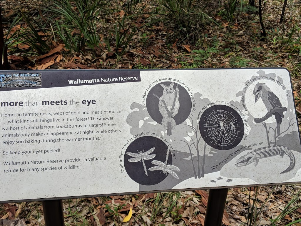 Wallumatta Nature Reserve | park | North Ryde NSW 2113, Australia