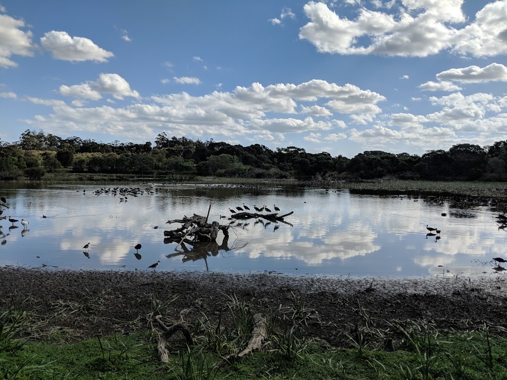 Lake McIntrye Park | Saleyards Rd, Millicent SA 5280, Australia | Phone: (08) 8733 0904