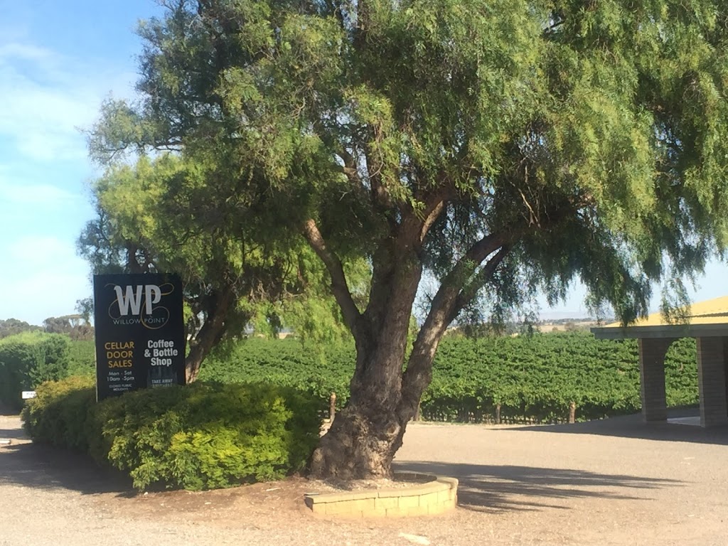 Willow Point Wines | 1041 Jervois Rd, White Sands SA 5253, Australia | Phone: (08) 8532 2632