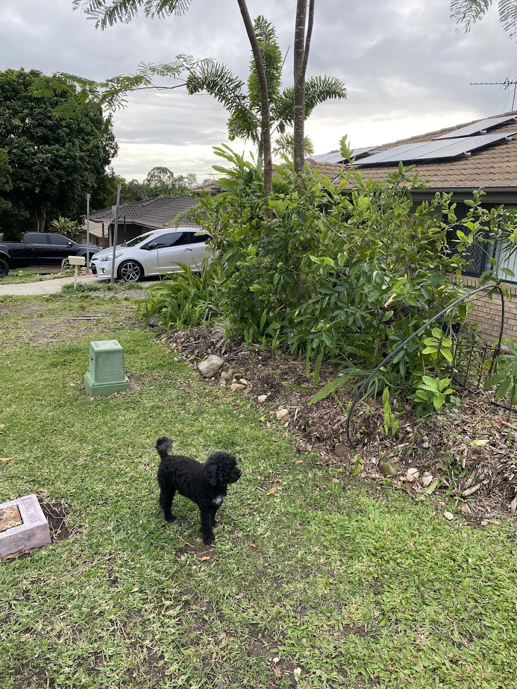 Vista Lawn Care | 114A Belhaven Ave, Yarrabilba QLD 4207, Australia | Phone: 1300 084 782