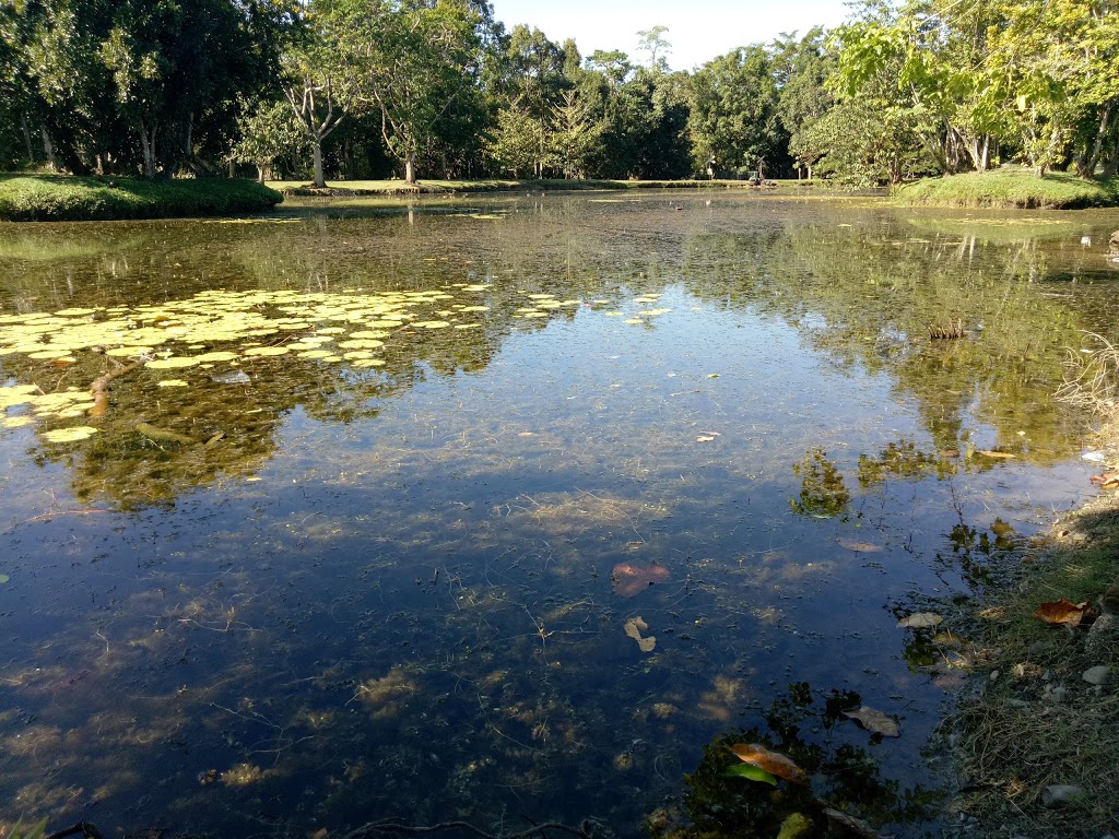 Warrina Conservation Park | park | Goondi Hill QLD 4860, Australia