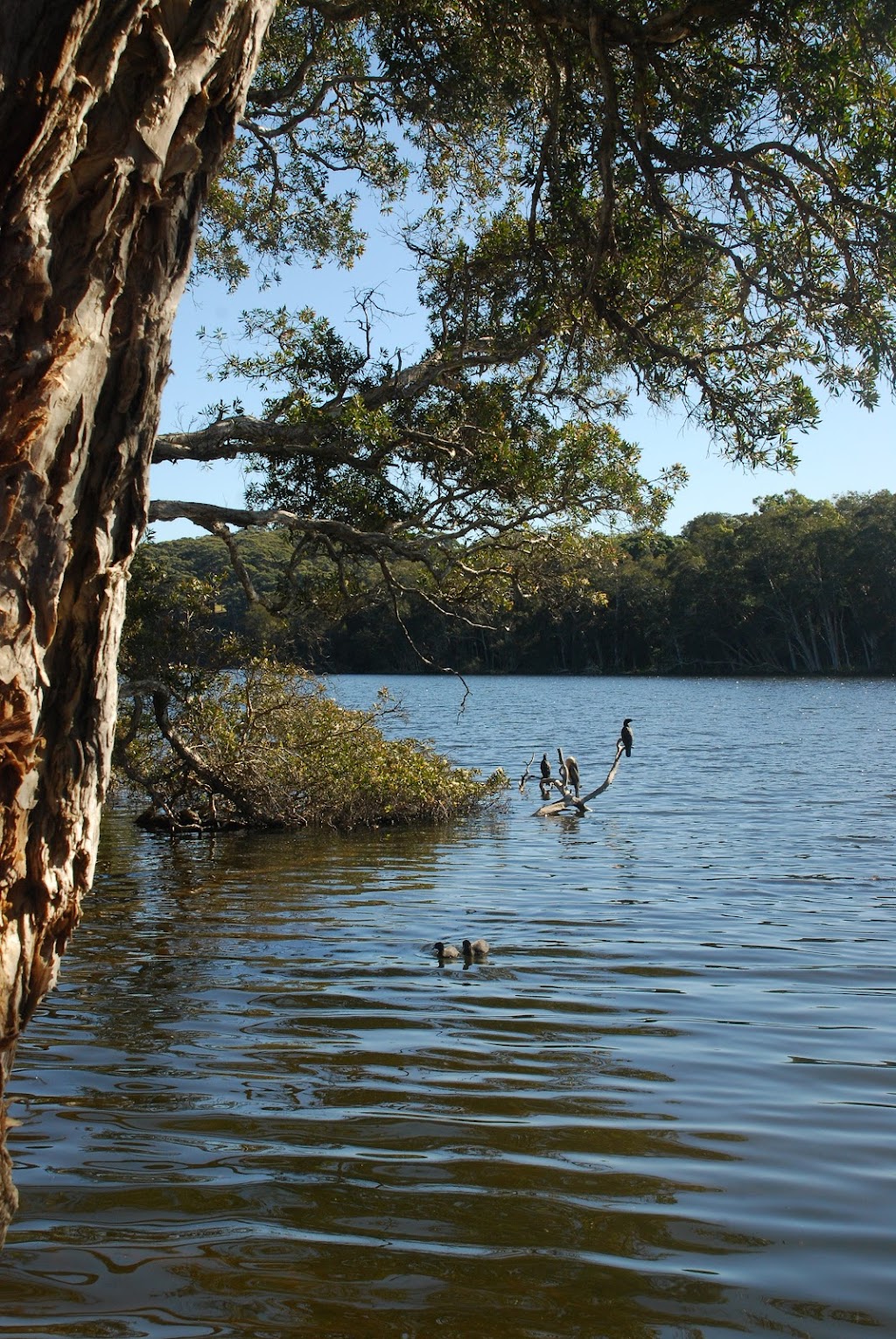 Avoca beach | 54 Cape Three Points Rd, Avoca Beach NSW 2251, Australia | Phone: (02) 4382 2440 Avoca beach | 54 Cape Three Points Rd, Avoca Beach NSW 2251, Australia | Phone: (02) 4382 2440