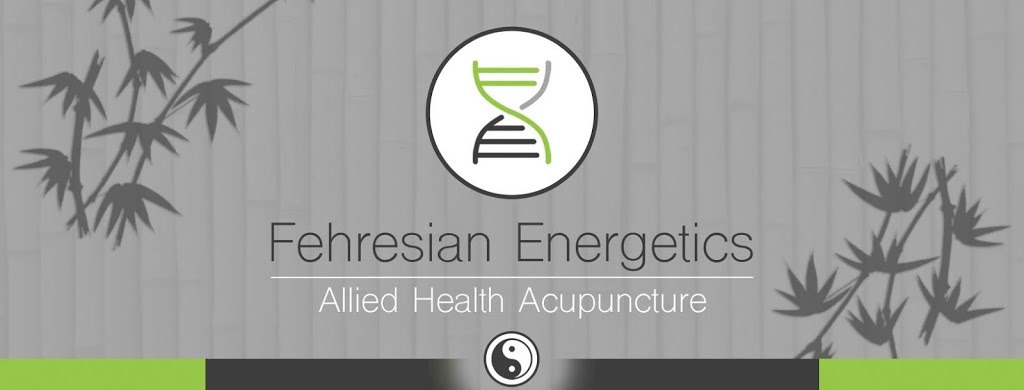 Fehresian Energetics - Boutique Acupuncture Studio | 3/24 Coyne St, Sherwood QLD 4075, Australia | Phone: 0415 561 223