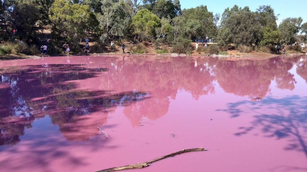 Pink lake Melbourne | 4 Wharf Rd, Port Melbourne VIC 3207, Australia