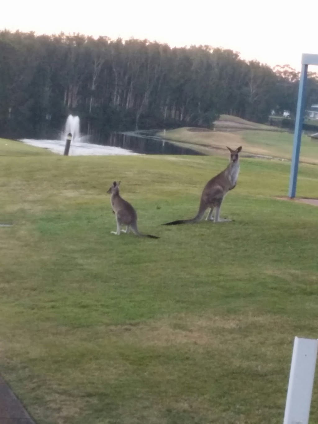 Horizons Resort Hotel Condos | 5 Horizons Dr, Salamander Bay NSW 2317, Australia | Phone: (02) 8840 2852