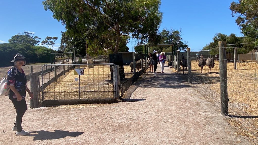Esperance Bird & Animal Park Café | Lot 3/549 Coolgardie Esperance Hwy, Esperance WA 6450, Australia | Phone: (08) 9076 1067