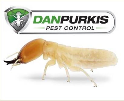 Dan Purkis Pest Control | 150 Riverside Dr, Tumbulgum NSW 2490, Australia | Phone: 0413 116 864