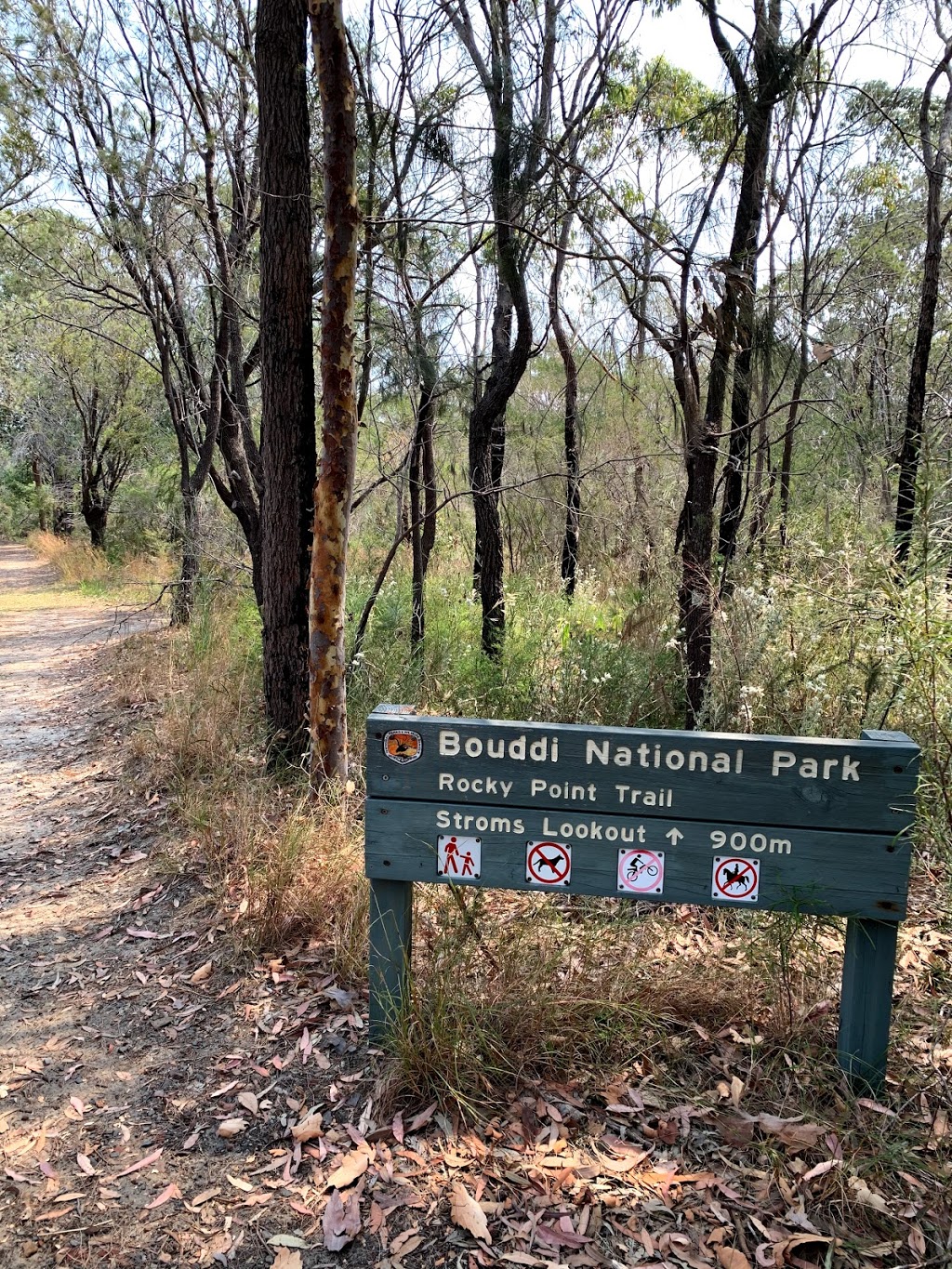 Allen Strom Lookout | tourist attraction | Bouddi National Park, Wards Hill Rd, Killcare NSW 2257, Australia | 0243204200 OR +61 2 4320 4200