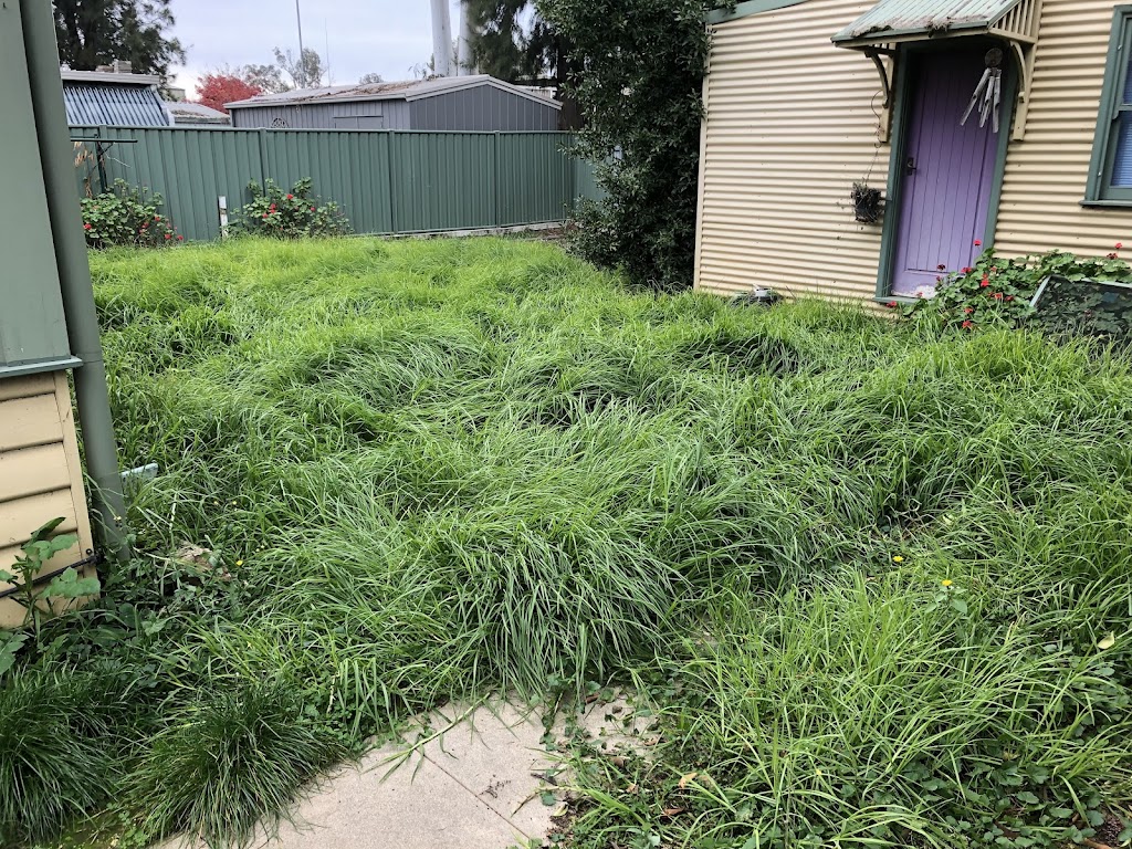Precision Gardens | 10 Currawong Dr, Wangaratta VIC 3677, Australia | Phone: 0413 283 349
