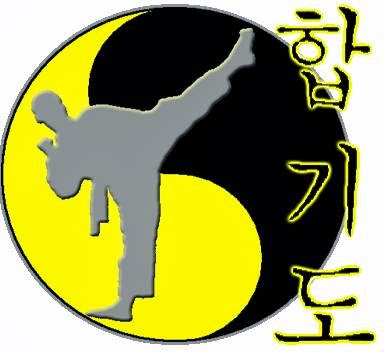 Power Hapkido | 7 Maroondah Hwy, Croydon VIC 3136, Australia | Phone: (03) 9018 7648