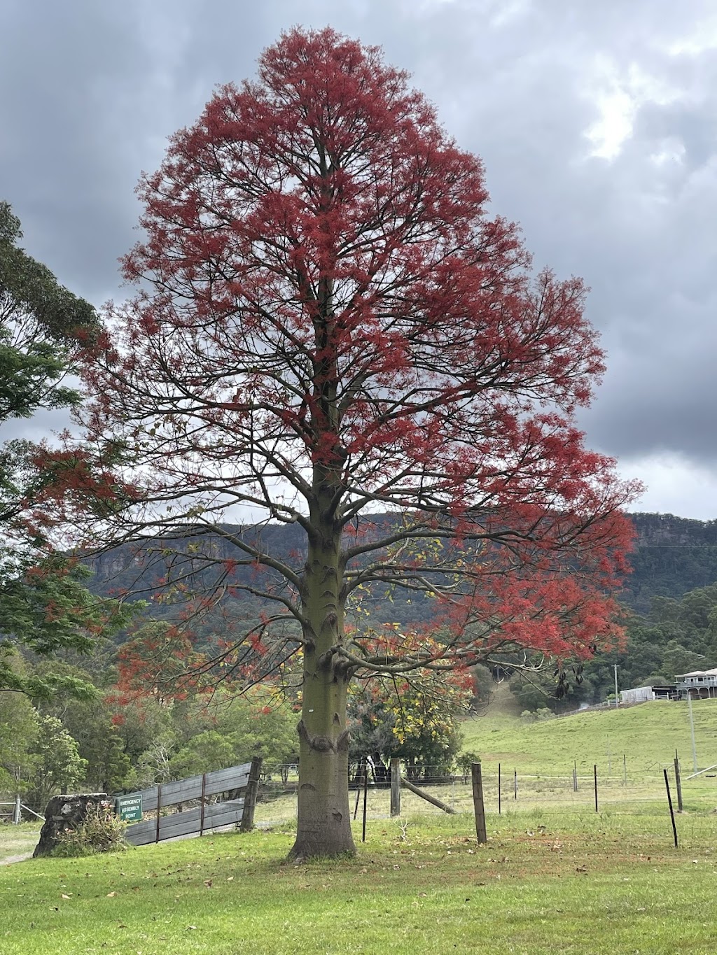 Bush Magic Adventure Therapy | 560 Avondale Rd, Avondale NSW 2530, Australia | Phone: 0428 909 895