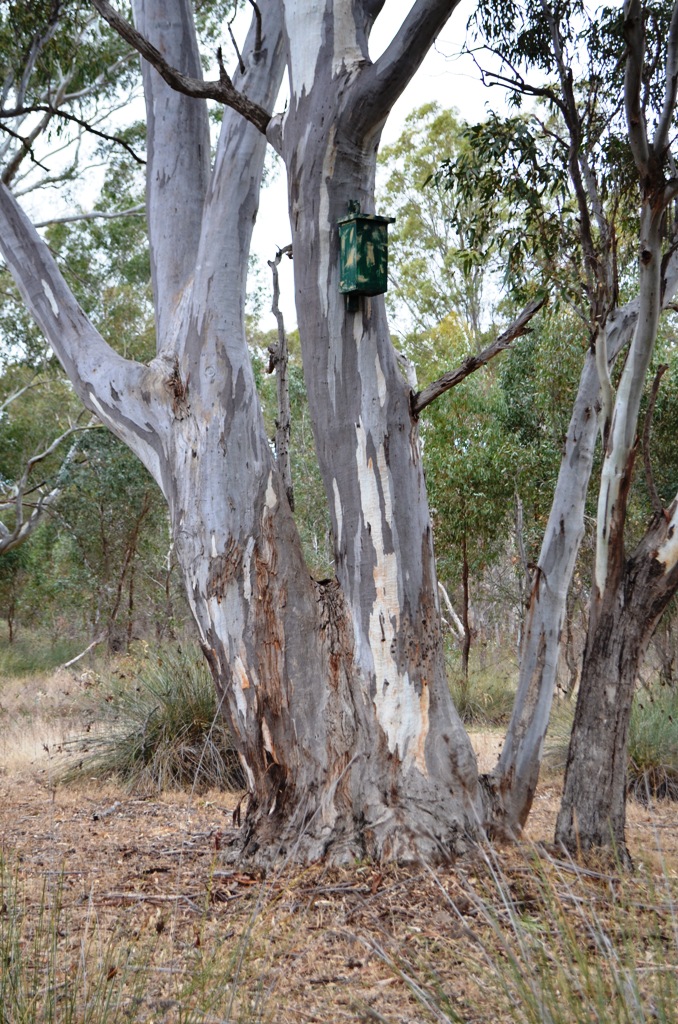 Huntly Streamside Reserve | park | Huntly VIC 3551, Australia