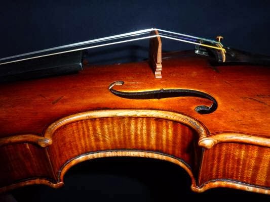 The Violin Studio | 29 Lamington Terrace, Dutton Park QLD 4102, Australia | Phone: (07) 3844 6090