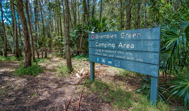 Brambles Green campground | campground | Tops to Myalls Heritage Trail, Mungo Brush NSW 2423, Australia | 0265910300 OR +61 2 6591 0300