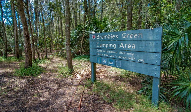 Brambles Green campground | Tops to Myalls Heritage Trail, Mungo Brush NSW 2423, Australia | Phone: (02) 6591 0300