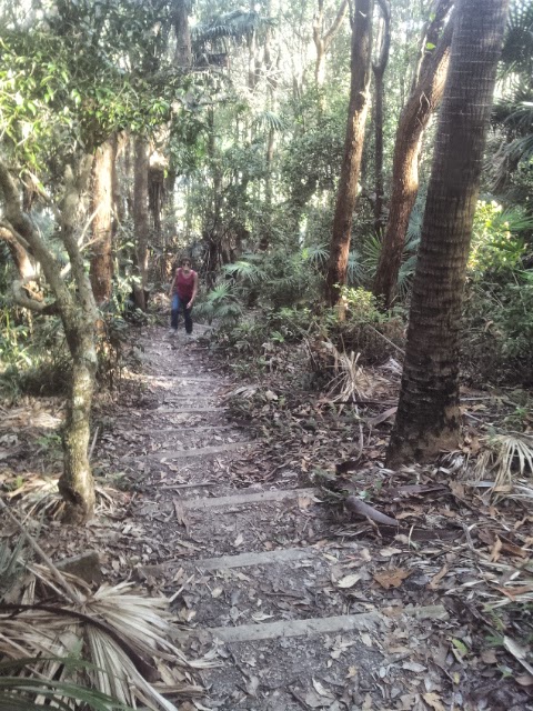 Booti Booti National Park | The Lakes Way, Pacific Palms NSW 2428, Australia | Phone: (02) 6591 0300