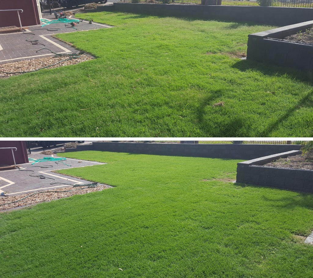 CK Lawn Mowing | 70-78 Elwyn Dr, Veresdale Scrub QLD 4285, Australia | Phone: 0423 088 840