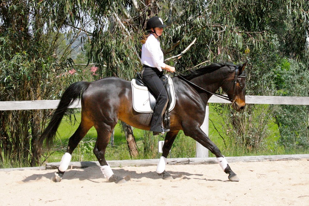 Equine Encounters / Classical Riding Lessons | Goldmans Rd, Panton Hill VIC 3759, Australia | Phone: 0411 098 462