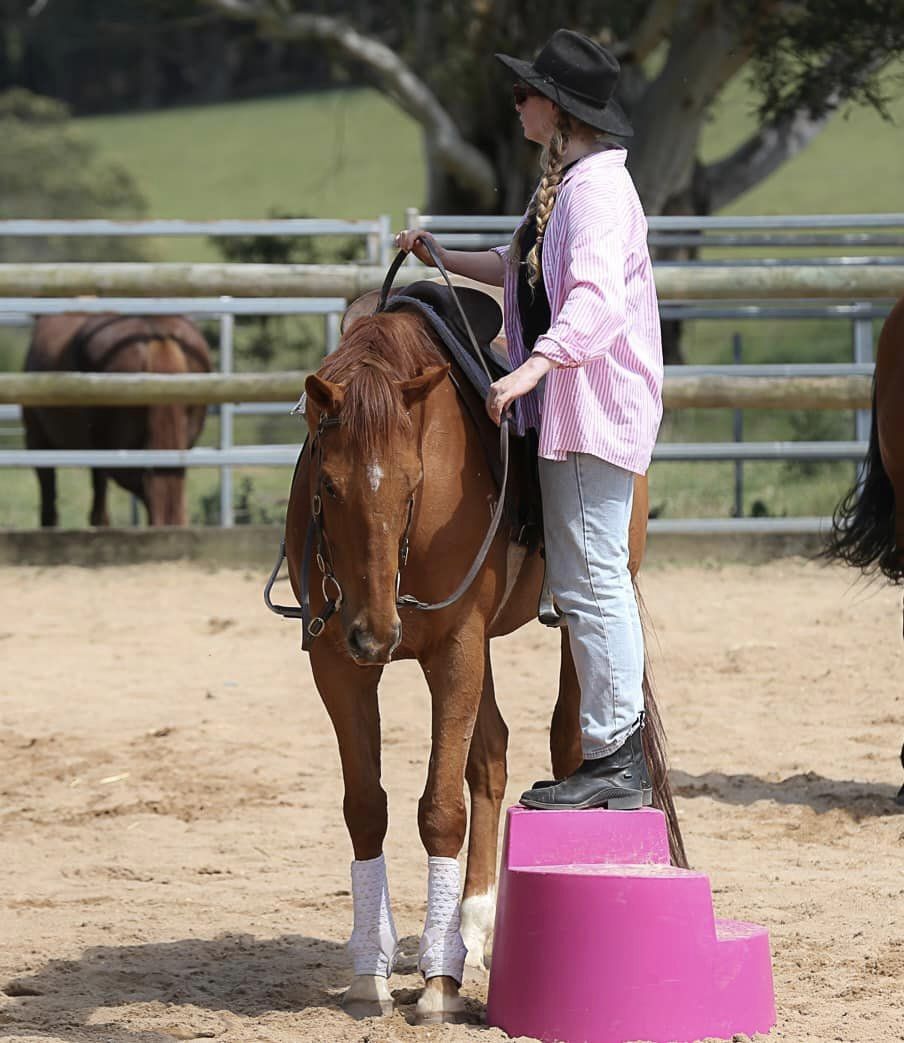 Southern Highlands Horsemanship | 44 Ringwood Ln, Exeter NSW 2579, Australia | Phone: 0413 145 345