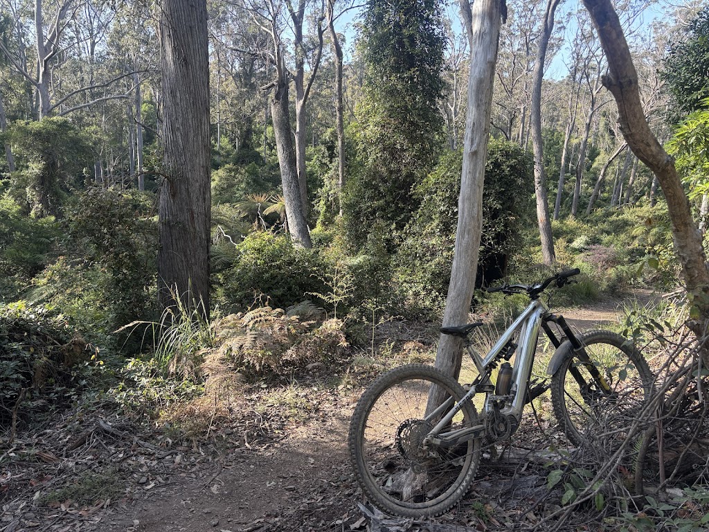 Kembla Mountain Bike Trails | Kembla Water Reservoir Mgt Trl, Kembla Heights NSW 2526, Australia | Phone: 1300 072 757