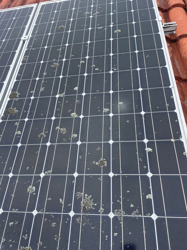 Warwick - South East Pressure Cleaning & Solar Panel Cleaning | 7 River Terrace, Warwick QLD 4370, Australia | Phone: 0409 494 740