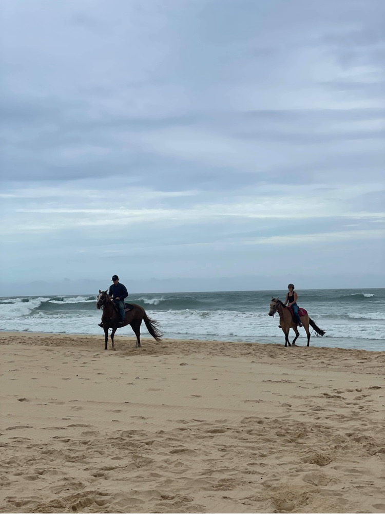 Beach horse holiday Mid North Coast | 74 Longworth Rd, Dunbogan NSW 2443, Australia | Phone: 0424 266 169