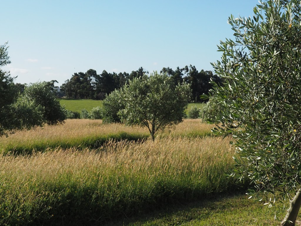 STONES THROW OLIVE OIL |  | 31 Hartley Rd, Meeniyan VIC 3956, Australia | 0414279970 OR +61 414 279 970