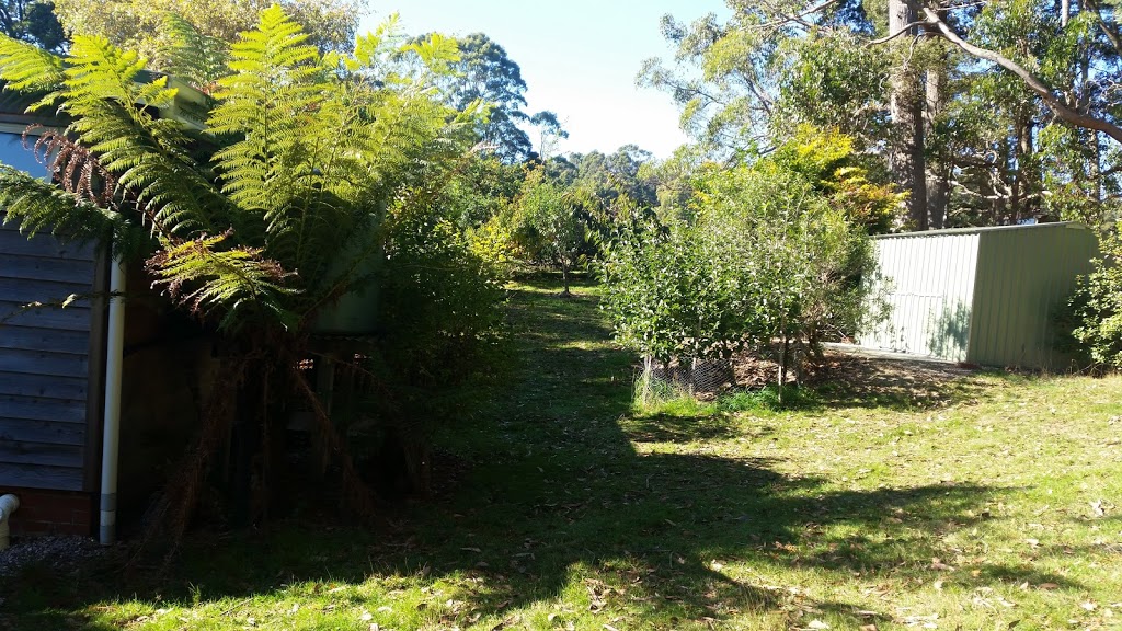 Sleepy Dell Cottage | lodging | 207 Fabers Rd, Riana TAS 7316, Australia | 0364376172 OR +61 3 6437 6172